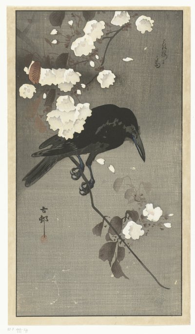 Cuervo con flor de cerezo Hana sakura no tori (título sobre objeto) de Ohara Koson