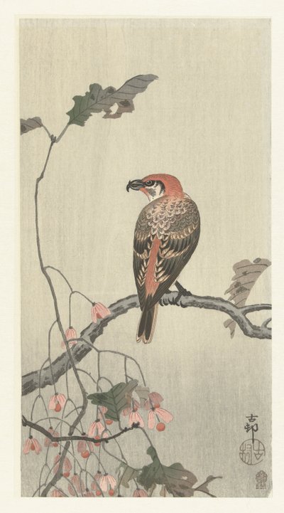 Piquituerto en rama de árbol de Ohara Koson
