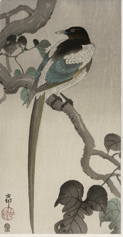 Urraca en una rama de Pauwlonia de Ohara Koson