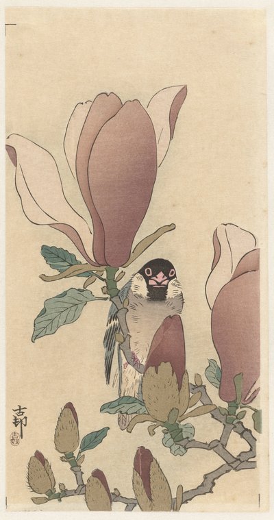 Gorrión en una rama de magnolia en flor de Ohara Koson