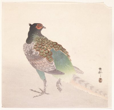 Faisán (xilografía en color) de Ohara Koson