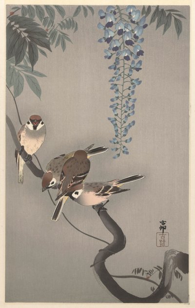 Gorriones de anillo en glicinas de Ohara Koson