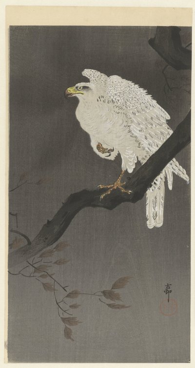 Águila nevada en la rama de un árbol de Ohara Koson