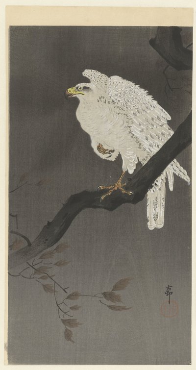 Águila nival en una rama de Ohara Koson