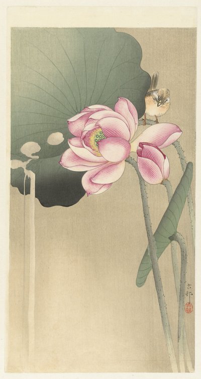 Pájaro cantor y Lotus de Ohara Koson