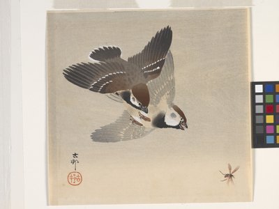 Gorriones persiguiendo insectos voladores (xilografía en color) de Ohara Koson