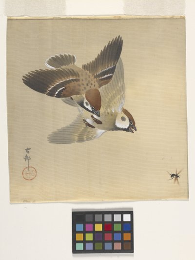 Sparrows Chasing Flying Insects (tinta y color sobre seda) de Ohara Koson