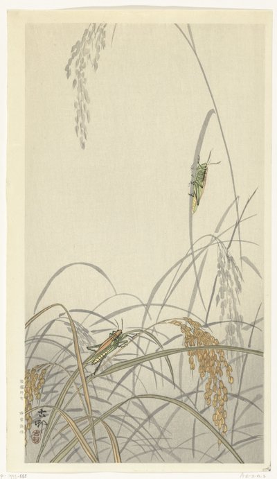 Saltamontes en las plantas de arroz de Ohara Koson