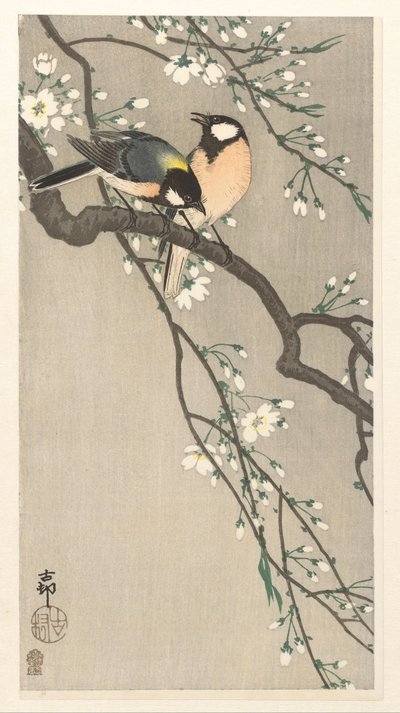 tetas en rama de cerezo de Ohara Koson