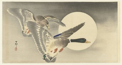 Dos patos en luna llena de Ohara Koson