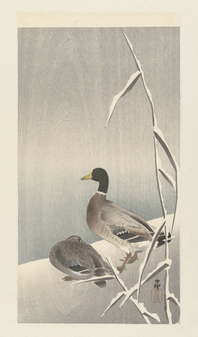 Dos patos en juncos nevados de Ohara Koson