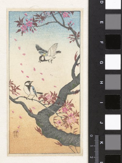 Dos herrerillos cerca de un árbol en flor de Ohara Koson