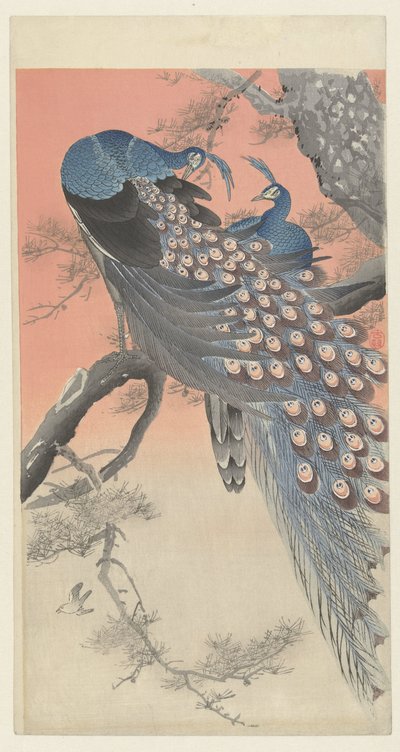 Dos pavos reales en la rama de un árbol de Ohara Koson