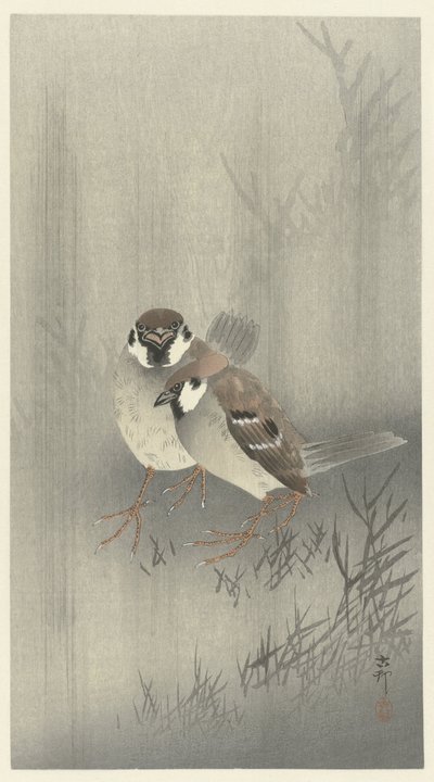Dos gorriones de anillo bajo la lluvia de Ohara Koson