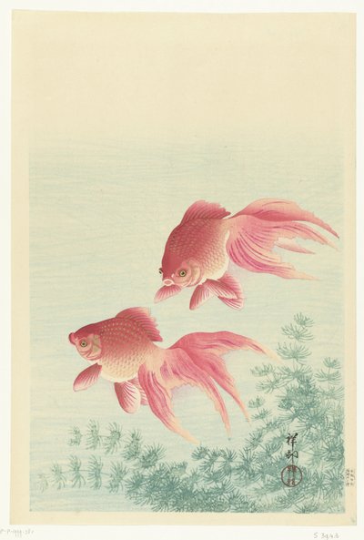 Dos peces dorados de cola de velo de Ohara Koson
