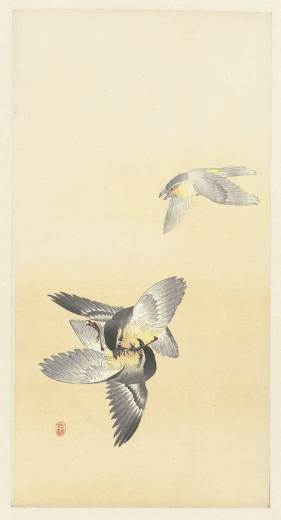Dos pájaros de pelea de Ohara Koson