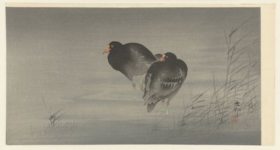 dos pollas de agua de Ohara Koson