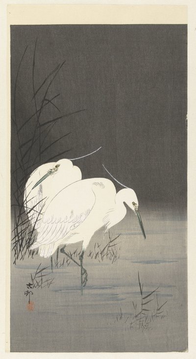 Dos garcetas en las cañas de Ohara Koson