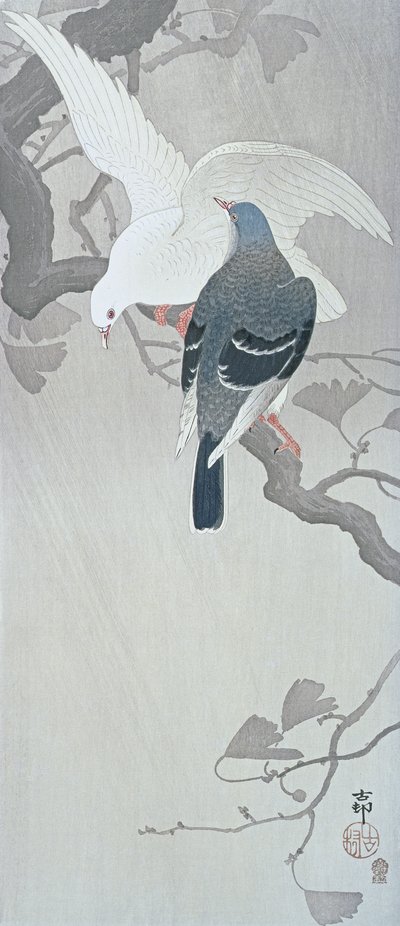 Dos palomas en la lluvia en una rama de un árbol de Ginkgo de Ohara Koson