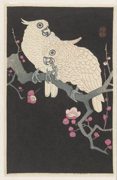 Dos cacatúas y una flor de ciruelo de Ohara Koson