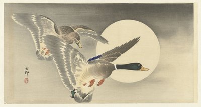 Dos patos con luna llena de Ohara Koson