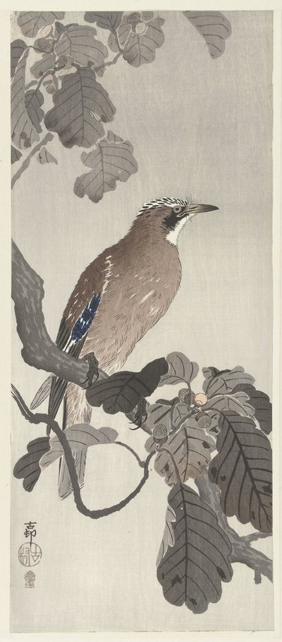 Arrendajo flamenco en la rama de un árbol de Ohara Koson
