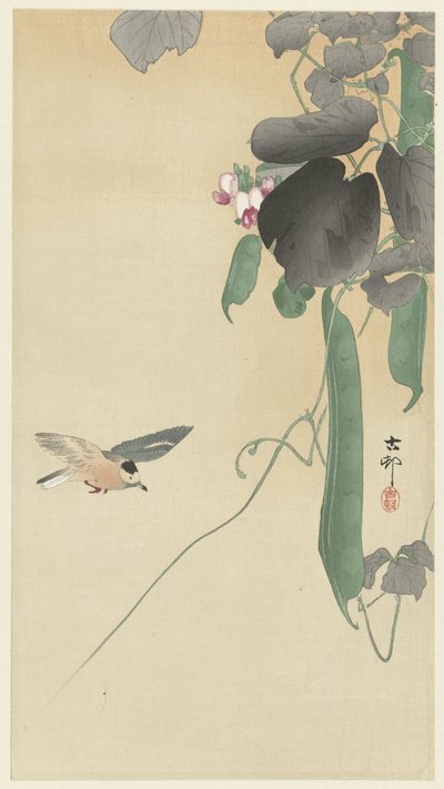 Pájaro en la planta de frijol floreciente de Ohara Koson