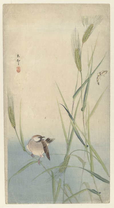 pájaro y mariposa de Ohara Koson