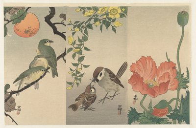 pájaros y plantas de Ohara Koson