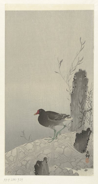 Waterhoen de Ohara Koson