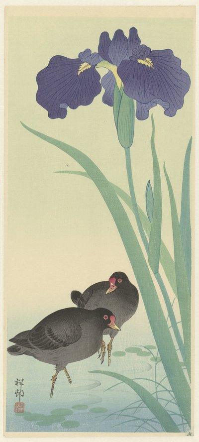 Pollas de agua e iris. de Ohara Koson