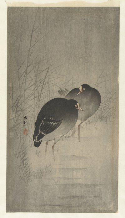 Pollas de agua entre cañas de Ohara Koson