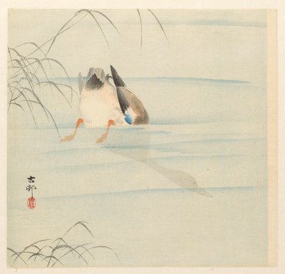 Ánade real, cabeza bajo el agua de Ohara Koson