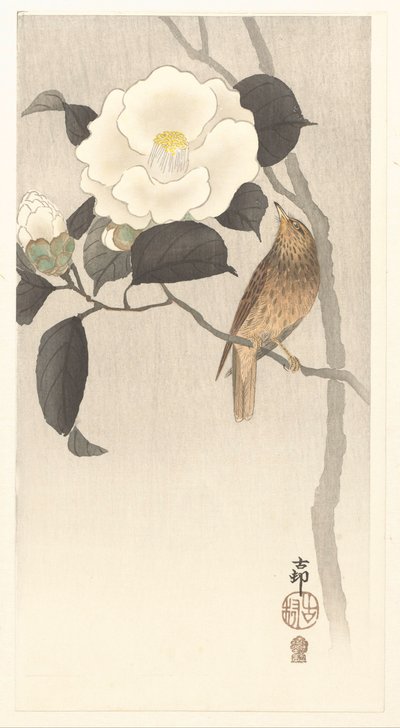 Pájaro cantor y camelia floreciente de Ohara Koson