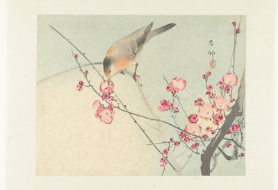 Pájaro cantor en rama de flor de Ohara Koson