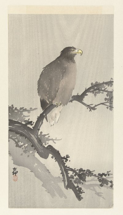 Águila calva en rama de Ohara Koson