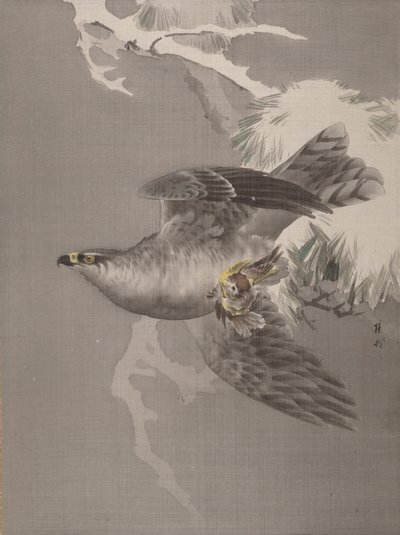 Halcón sosteniendo un pájaro pequeño, ca. 1891-92 de Okada Baison