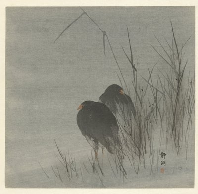 Dos gallaretas entre cañas de Okuhara Seiko