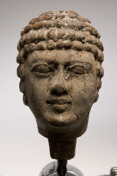 Cabeza de un hombre (madera) de Old Kingdom Egyptian