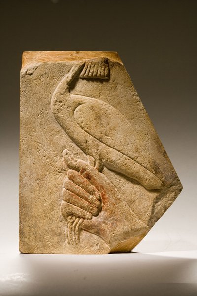Fragmento de relieve de un pájaro Akh (caliza) de Old Kingdom Egyptian
