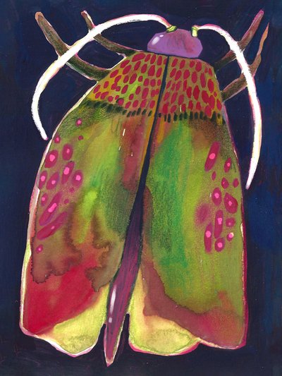 Polilla de Olga Skomorokhova