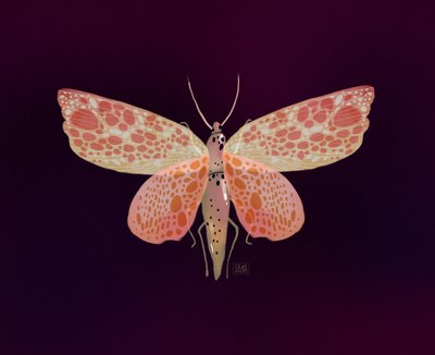  de Olga Skomorokhova