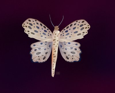  de Olga Skomorokhova