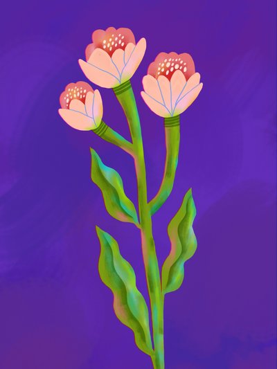 Trío floral lleno de color de Olga Skomorokhova