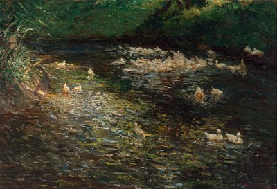 estanque de los patos de Olga Wisinger Florian
