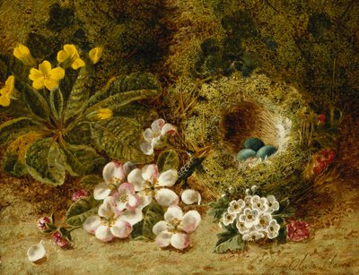 Flores de manzano, una prímula y nido de pájaros en un banco musgoso de Oliver Clare