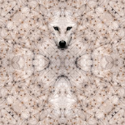 Semi lupus, 2023 (técnica mixta digital) de Olivia Gozzano