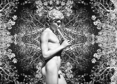  de Olivia Gozzano