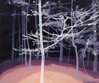 Forêt-noire 7 de Olivier Morel