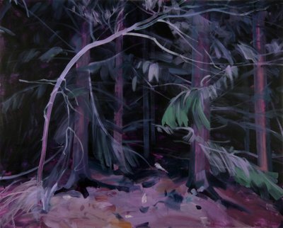Forêt-noire 9 de Olivier Morel